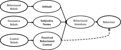 Using an extended model of the reasoned action approach to explore individual behavioral intentions regarding litter and plastic pollution prevention in a developing country